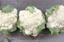 Blumenkohl, Goodman