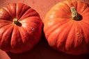 Courge Potiron, Rouge Vif d'Étampes