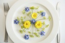 Mélange de Fleurs Annuel, Fleurs Comestibles