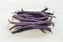 Haricot Nain, Purple Queen